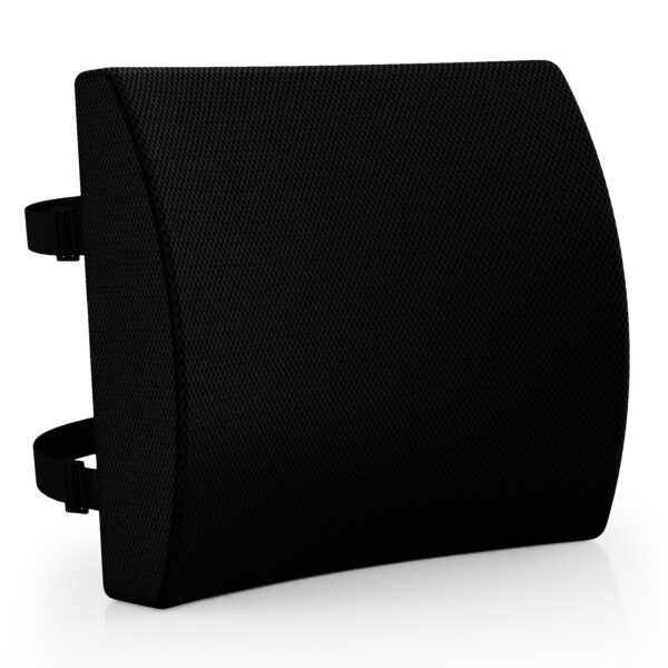 Lumbar Support