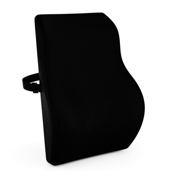 Large Backrest